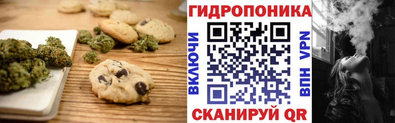 где купить Сурск Печенье с ТГК конопля