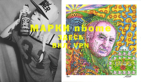 гидра Кодинск