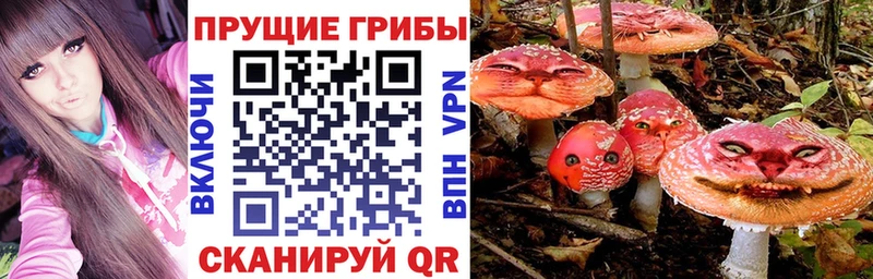 Галлюциногенные грибы ЛСД  что такое наркотик  ОМГ ОМГ ссылки  Сурск 