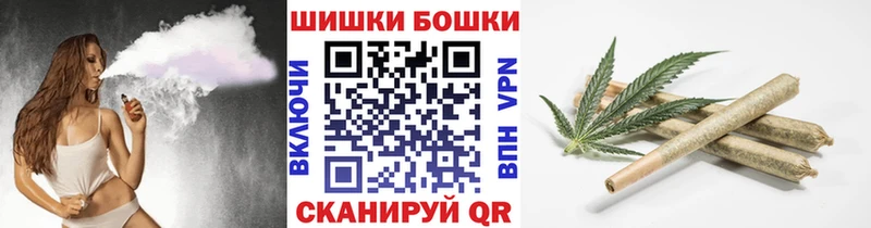 Бошки Шишки планчик Сурск